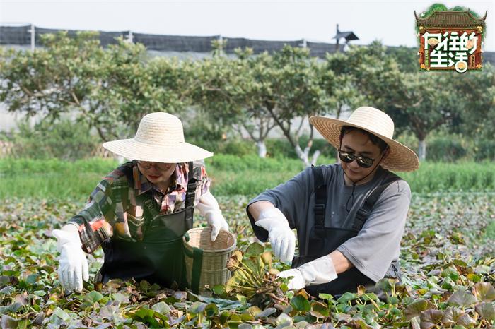 1760933335206850.jpg 3.jpg