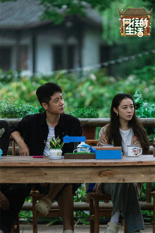 1762142423198236.jpg 7.jpg